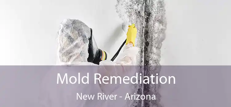 Mold Remediation New River - Arizona