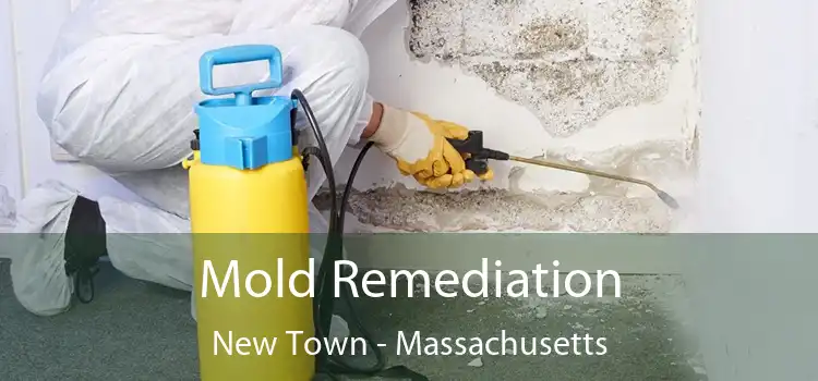 Mold Remediation New Town - Massachusetts