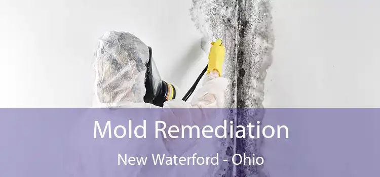 Mold Remediation New Waterford - Ohio