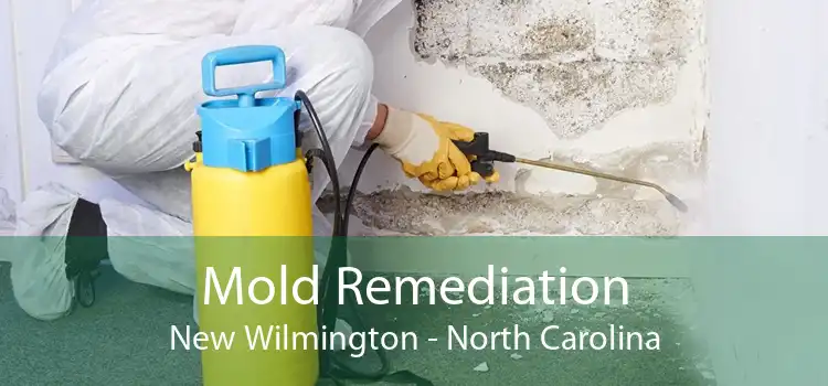Mold Remediation New Wilmington - North Carolina