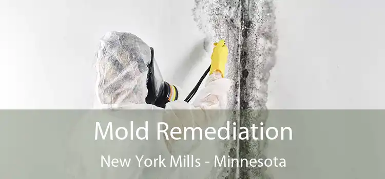 Mold Remediation New York Mills - Minnesota