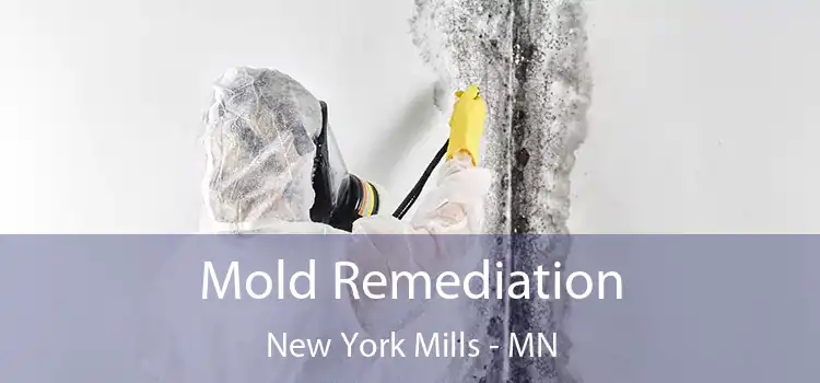 Mold Remediation New York Mills - MN