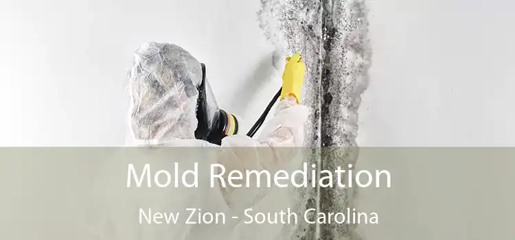 Mold Remediation New Zion - South Carolina