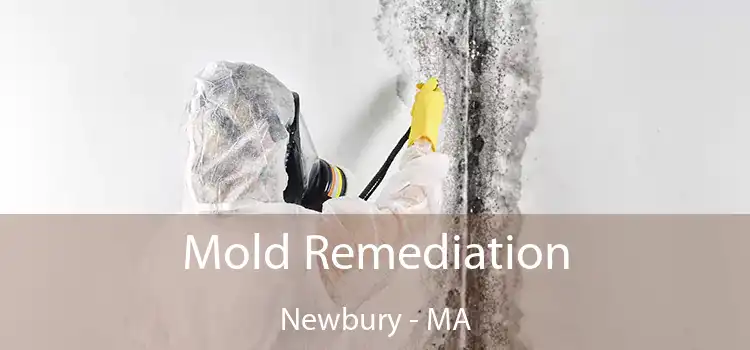 Mold Remediation Newbury - MA