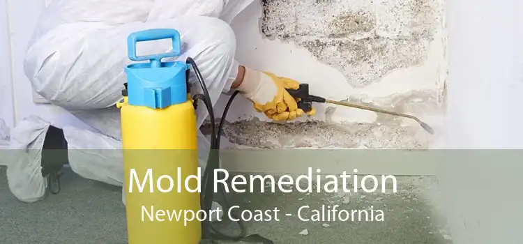 Mold Remediation Newport Coast - California