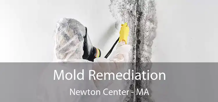 Mold Remediation Newton Center - MA