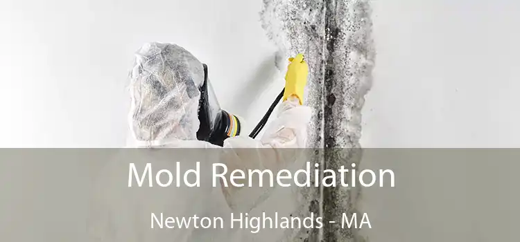 Mold Remediation Newton Highlands - MA