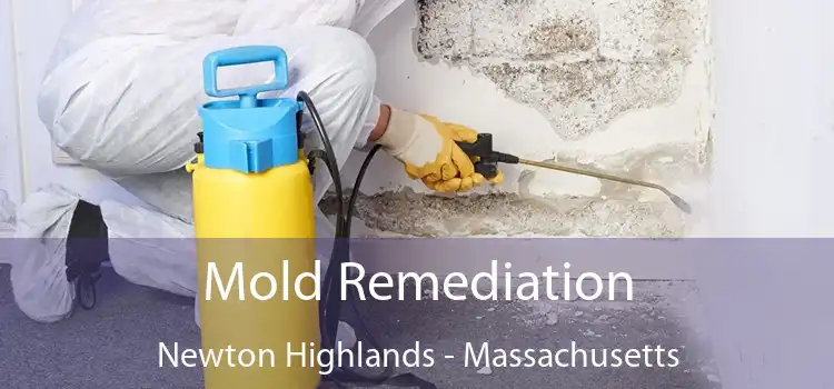 Mold Remediation Newton Highlands - Massachusetts