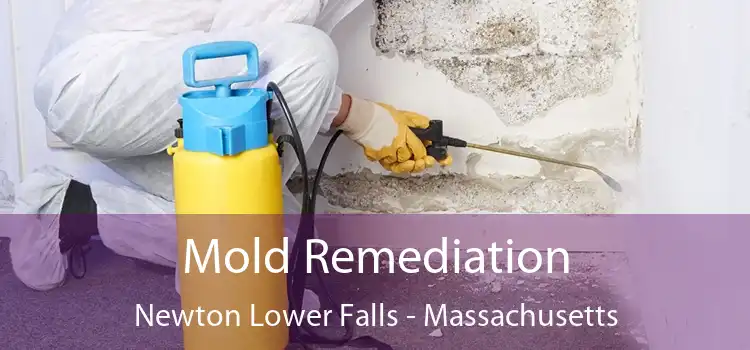 Mold Remediation Newton Lower Falls - Massachusetts