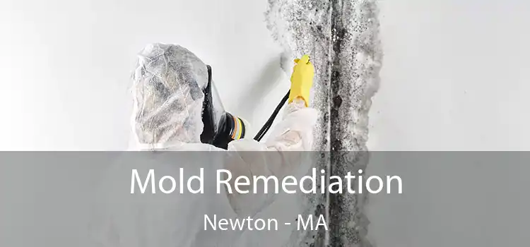 Mold Remediation Newton - MA