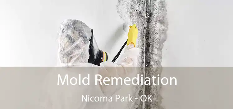 Mold Remediation Nicoma Park - OK