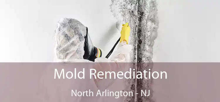 Mold Remediation North Arlington - NJ