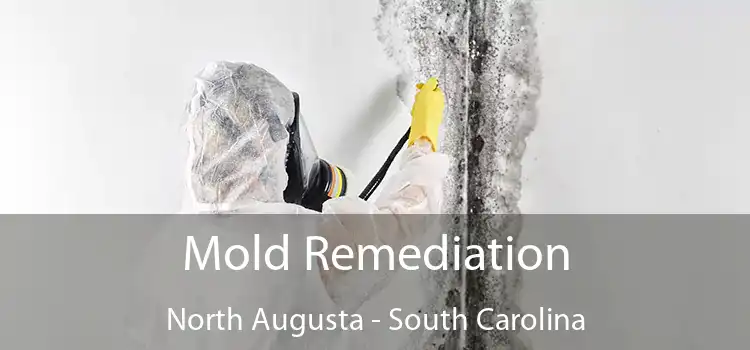 Mold Remediation North Augusta - South Carolina