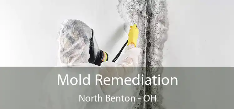 Mold Remediation North Benton - OH