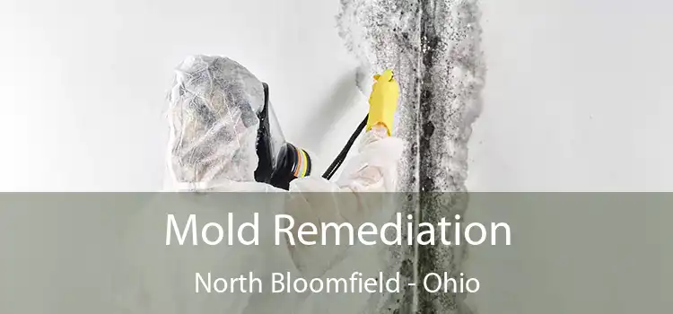 Mold Remediation North Bloomfield - Ohio