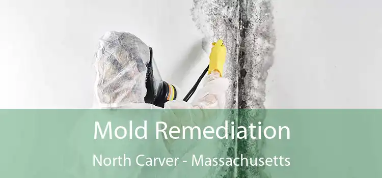 Mold Remediation North Carver - Massachusetts