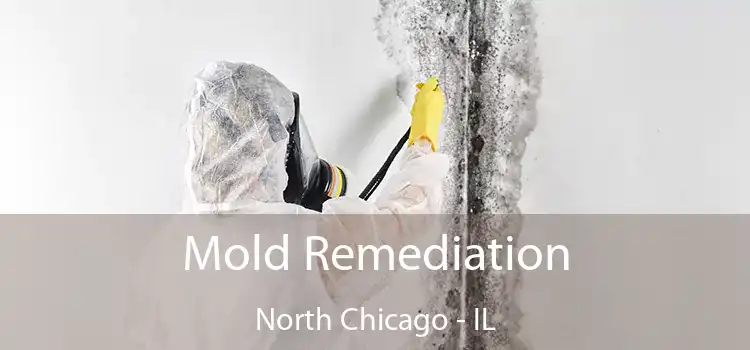 Mold Remediation North Chicago - IL