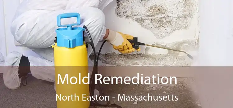 Mold Remediation North Easton - Massachusetts