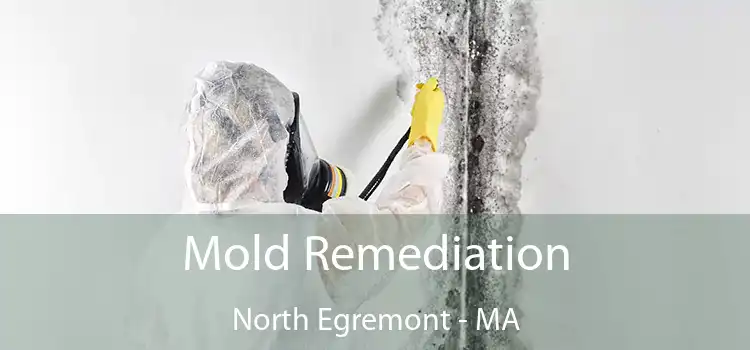 Mold Remediation North Egremont - MA