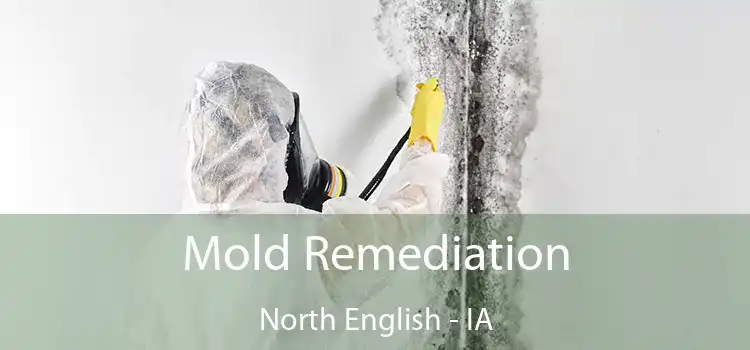 Mold Remediation North English - IA