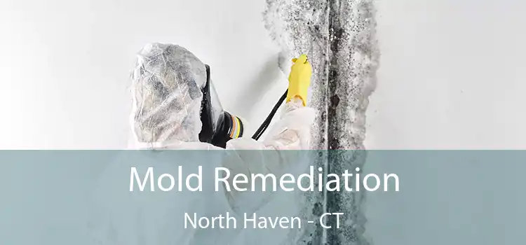 Mold Remediation North Haven - CT