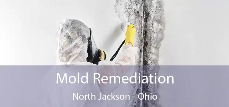 Mold Remediation North Jackson - Ohio