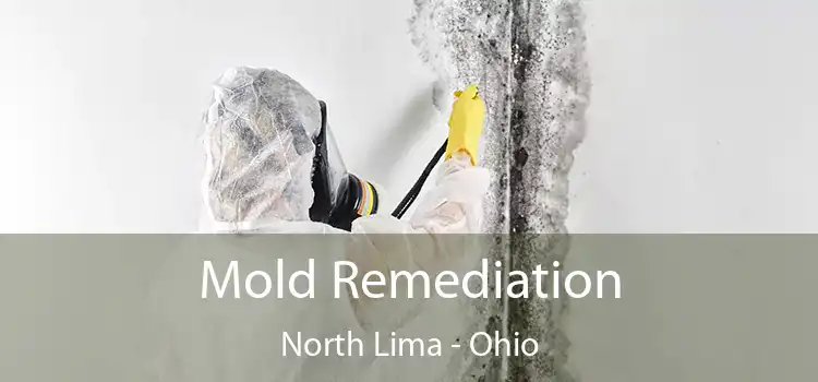 Mold Remediation North Lima - Ohio