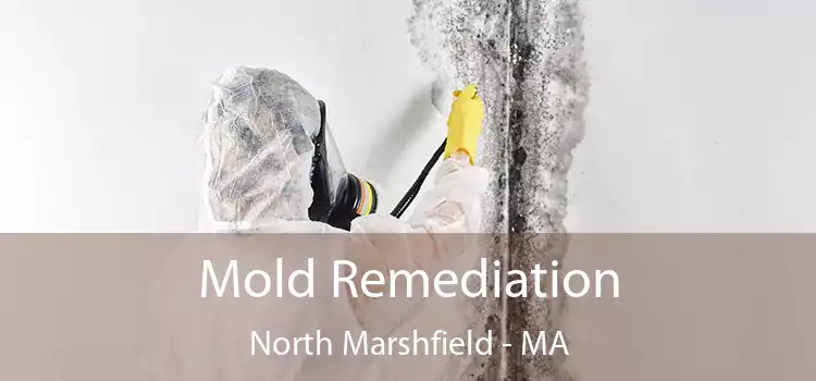 Mold Remediation North Marshfield - MA