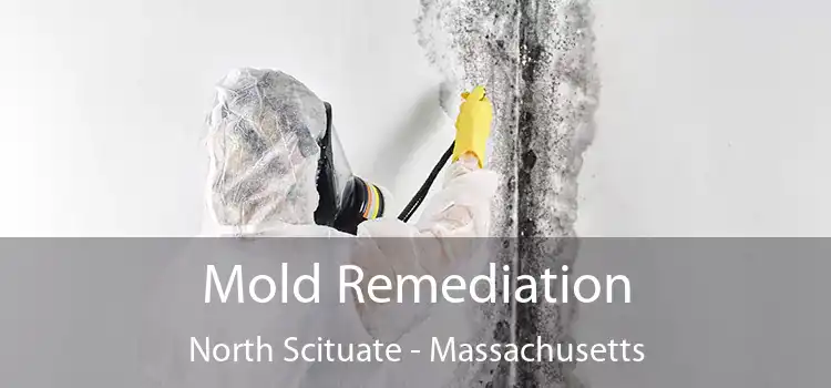 Mold Remediation North Scituate - Massachusetts