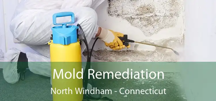 Mold Remediation North Windham - Connecticut