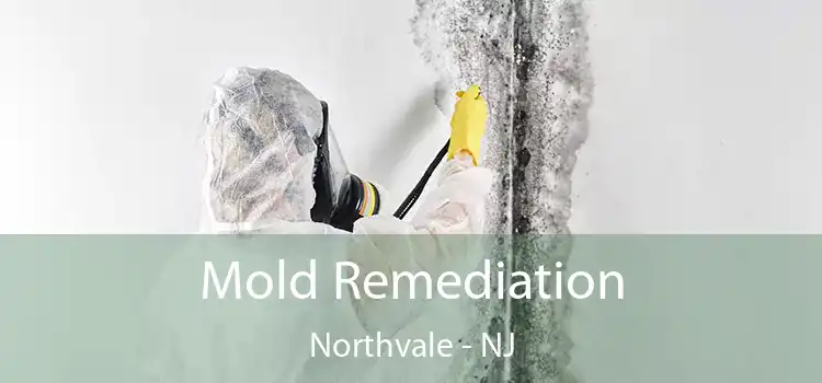 Mold Remediation Northvale - NJ