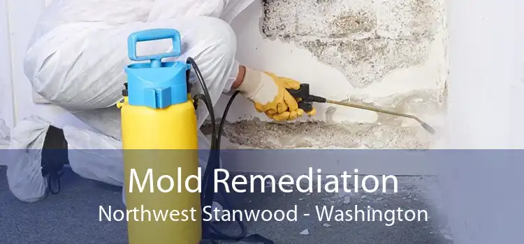 Mold Remediation Northwest Stanwood - Washington