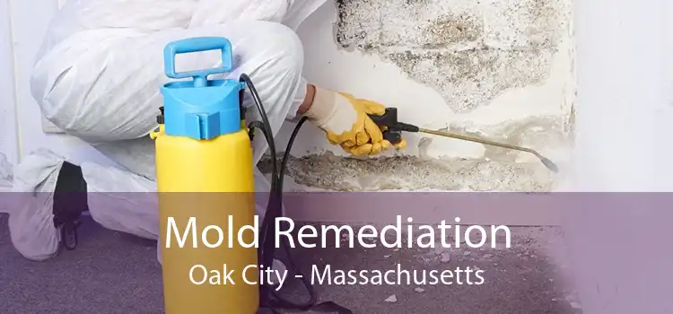Mold Remediation Oak City - Massachusetts