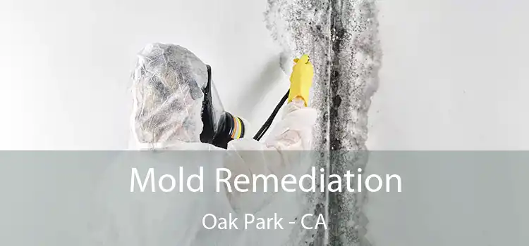 Mold Remediation Oak Park - CA