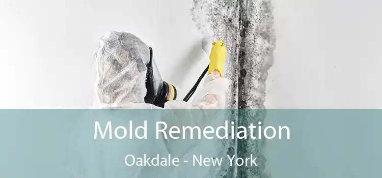 Mold Remediation Oakdale - New York