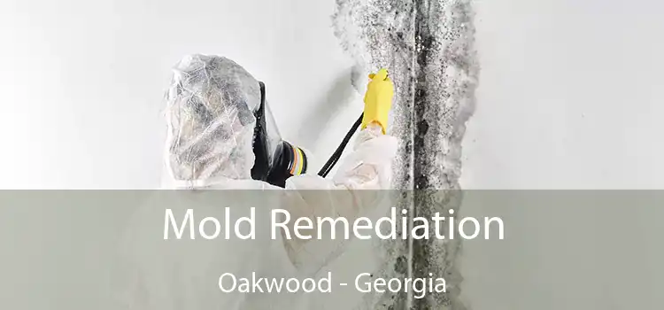 Mold Remediation Oakwood - Georgia