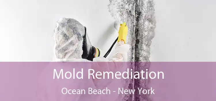 Mold Remediation Ocean Beach - New York