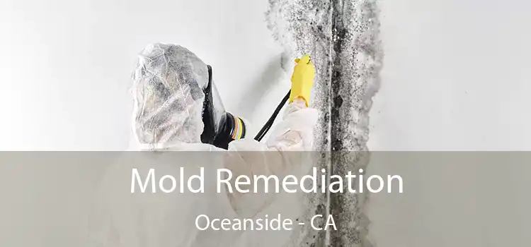 Mold Remediation Oceanside - CA