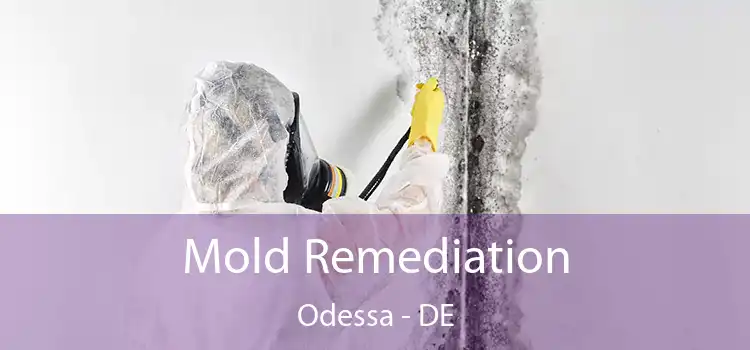 Mold Remediation Odessa - DE