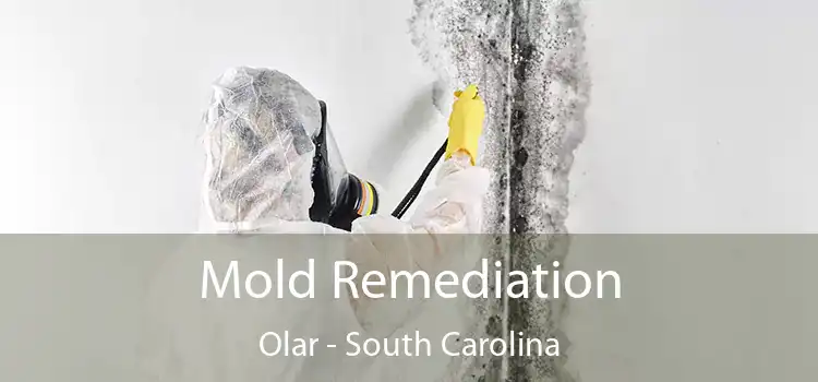 Mold Remediation Olar - South Carolina