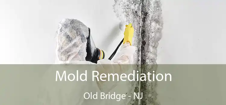 Mold Remediation Old Bridge - NJ