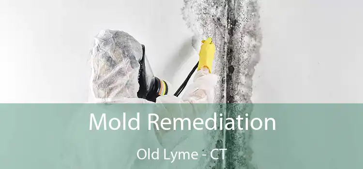 Mold Remediation Old Lyme - CT