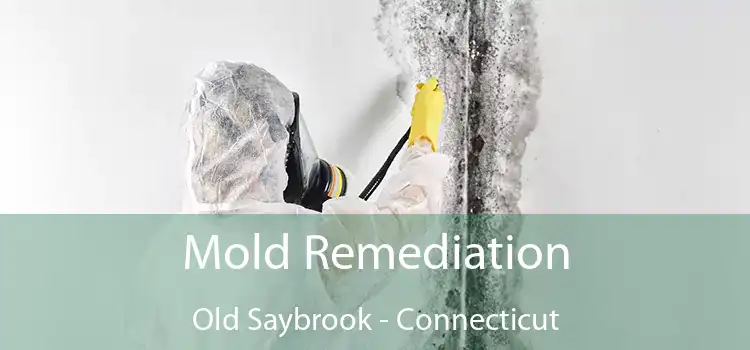 Mold Remediation Old Saybrook - Connecticut