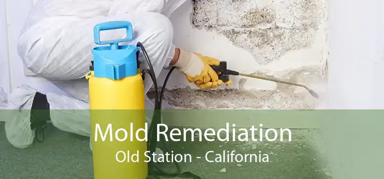 Mold Remediation Old Station - California