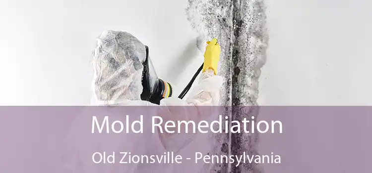 Mold Remediation Old Zionsville - Pennsylvania