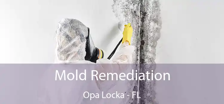 Mold Remediation Opa Locka - FL