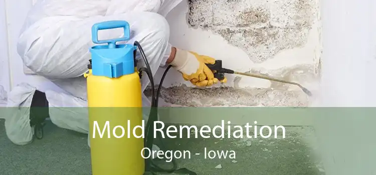 Mold Remediation Oregon - Iowa