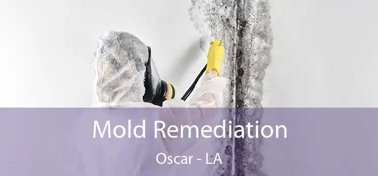 Mold Remediation Oscar - LA