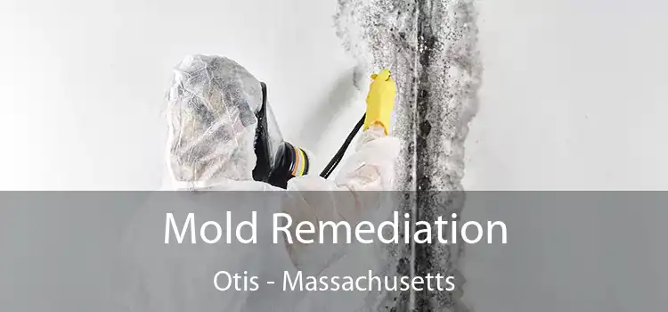 Mold Remediation Otis - Massachusetts