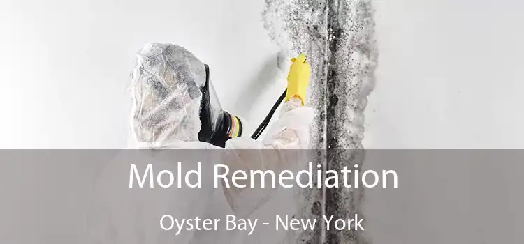 Mold Remediation Oyster Bay - New York